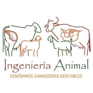 Meet your Posher, Antonio